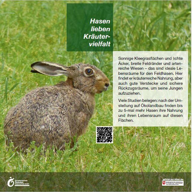 Feldschilder-Satz mit Sponsoren-Logo (ML)